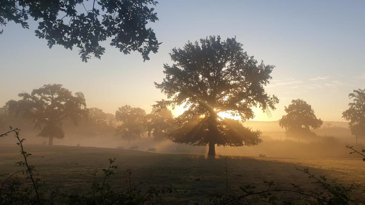 Glamping Les Arbres, Luxe Safaritent Met Zwembad Cronat Eksteriør bilde